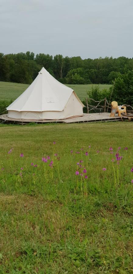Camping La Petite Houmee Curzay-sur-Vonne Extérieur photo